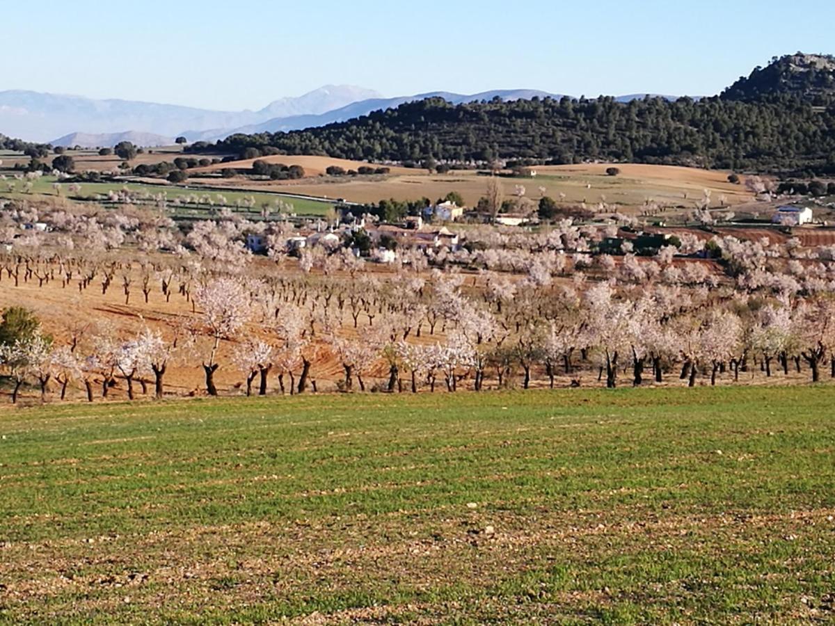 Cortijo Los Soledad El Sauco Buitenkant foto