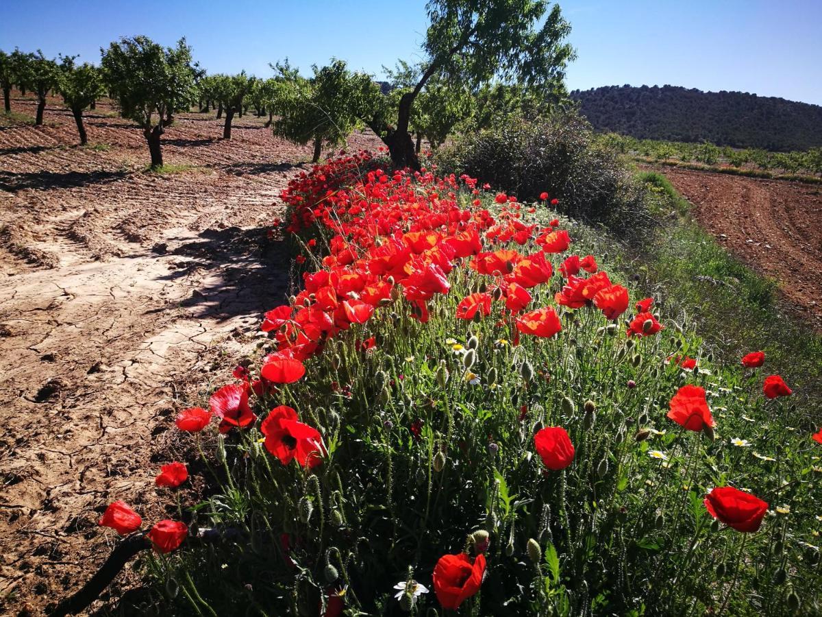Cortijo Los Soledad El Sauco Buitenkant foto