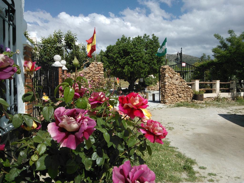 Cortijo Los Soledad El Sauco Buitenkant foto