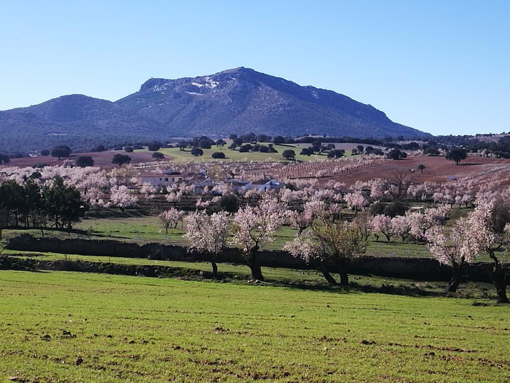 Cortijo Los Soledad El Sauco Buitenkant foto