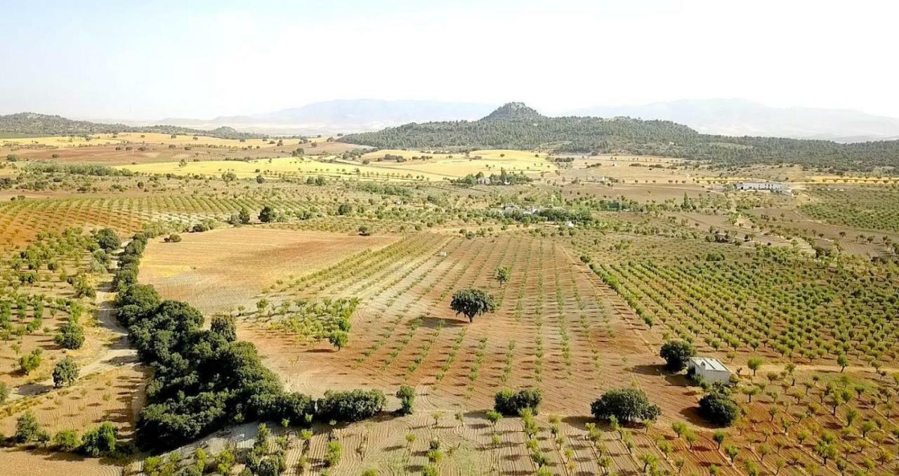 Cortijo Los Soledad El Sauco Buitenkant foto