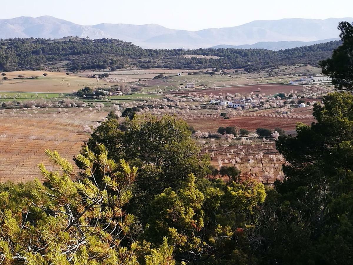 Cortijo Los Soledad El Sauco Buitenkant foto